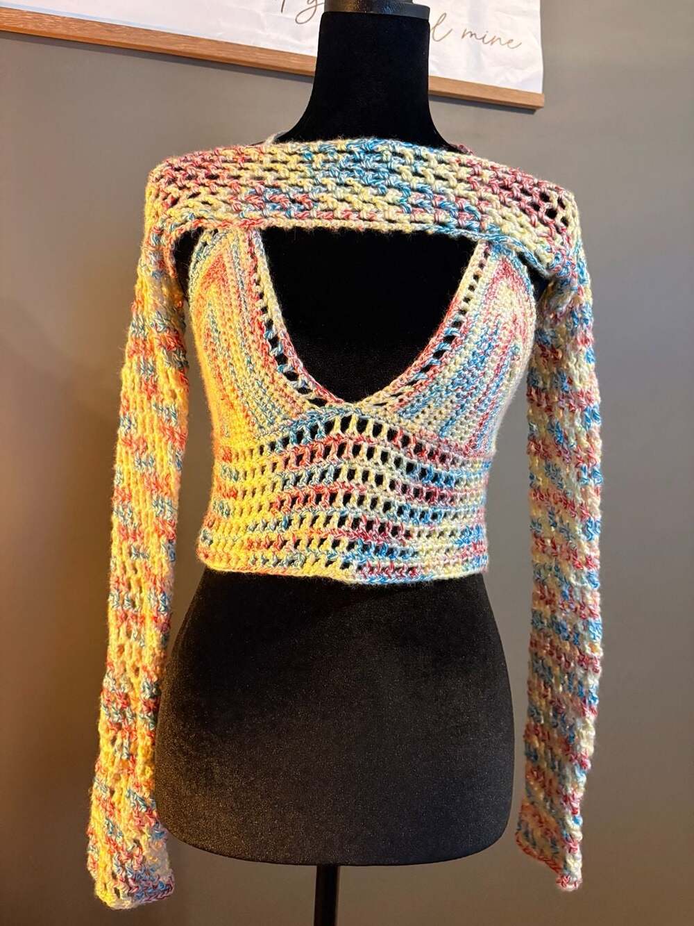 Evidently Extra Multi-Color Crochet Peekaboo Cut Out Long Sleeve festival Top